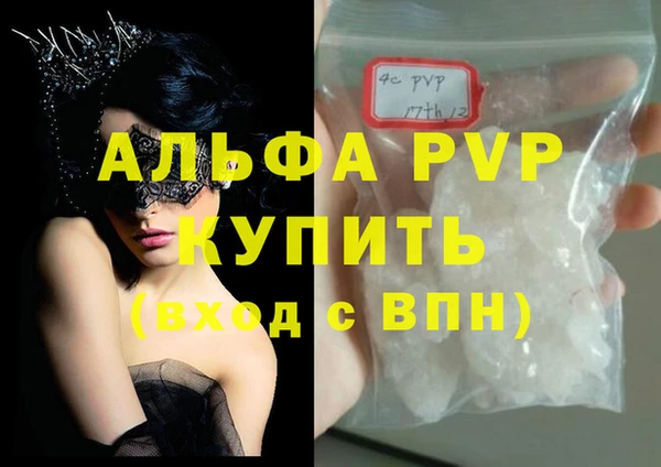 гашик Ростов