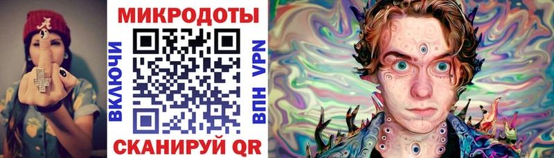 блэк спрут ТОР Салаир Псилоцибиновые грибы Cubensis